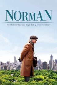 Norman: egy New York-i fixer mérsékelt tündöklése és tragikus bukása