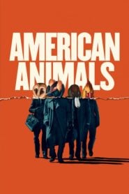 Amerikai állatok