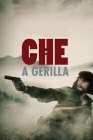 Che – A gerilla