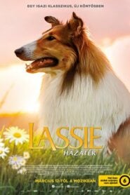 Lassie hazatér filminvazio.hu