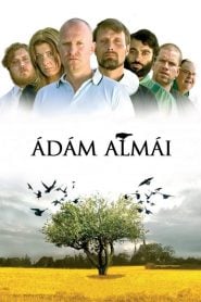 Ádám almái filminvazio.hu